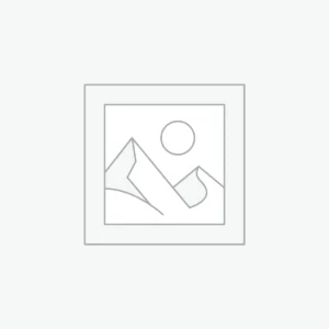 Ongoing Partner